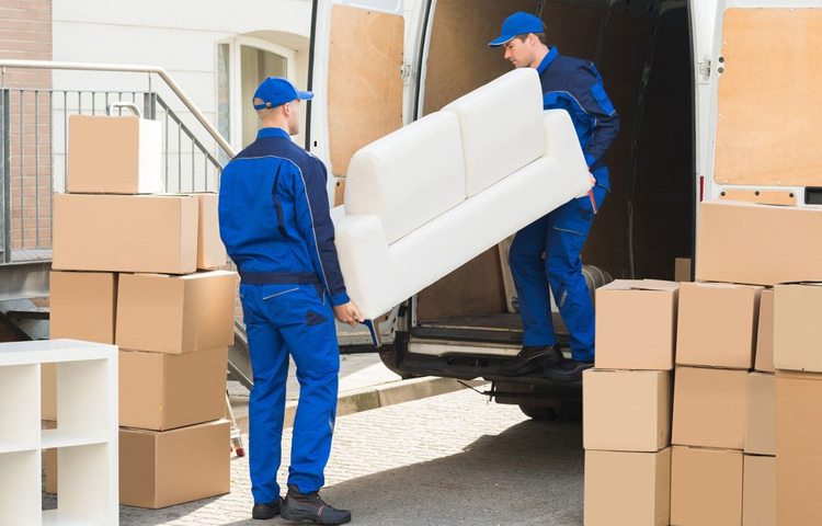 Excellent Cargo Packers and Movers